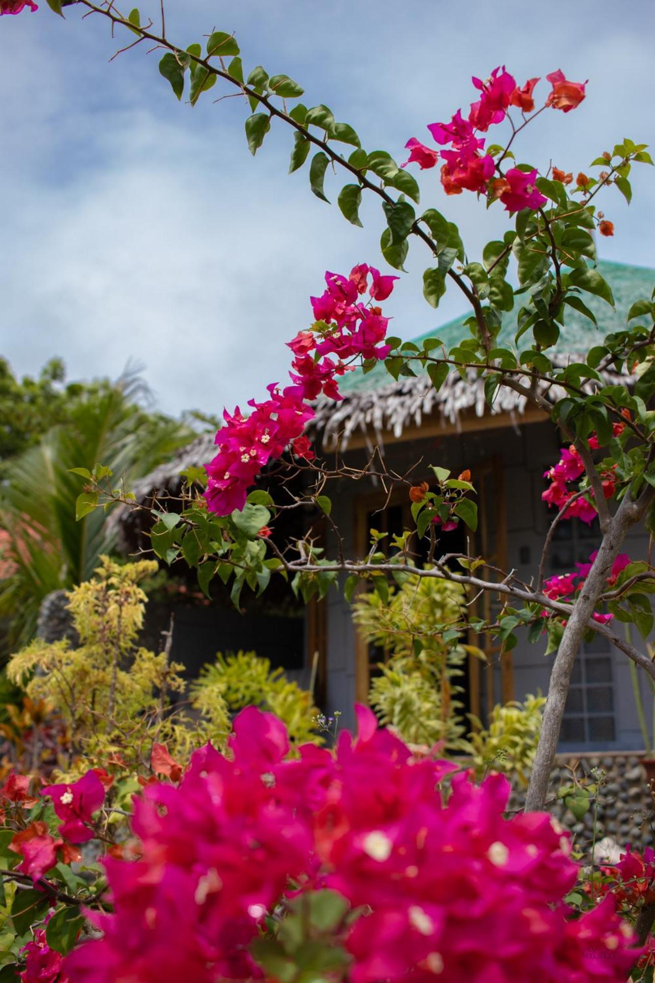 Rhenmart-Inn Siquijor Εξωτερικό φωτογραφία